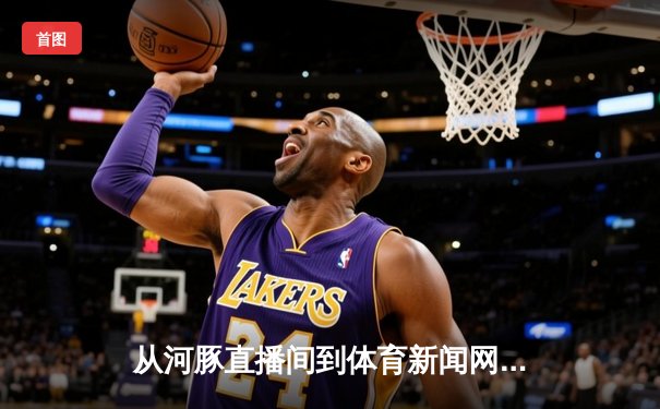 从河豚直播间到体育新闻网：数字时代如何重塑我们的赛事消费体验